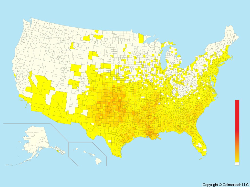 Mississippi Kite (Ictinia mississippiensis) - United States