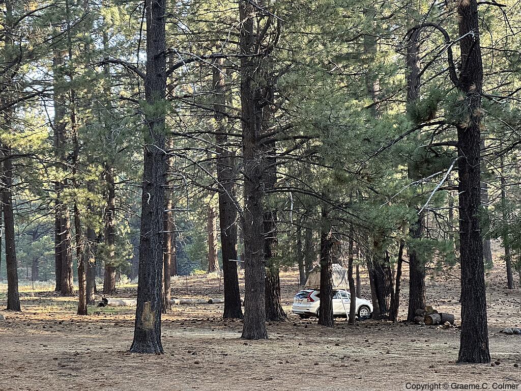 Wolf Creek Campground - Campground