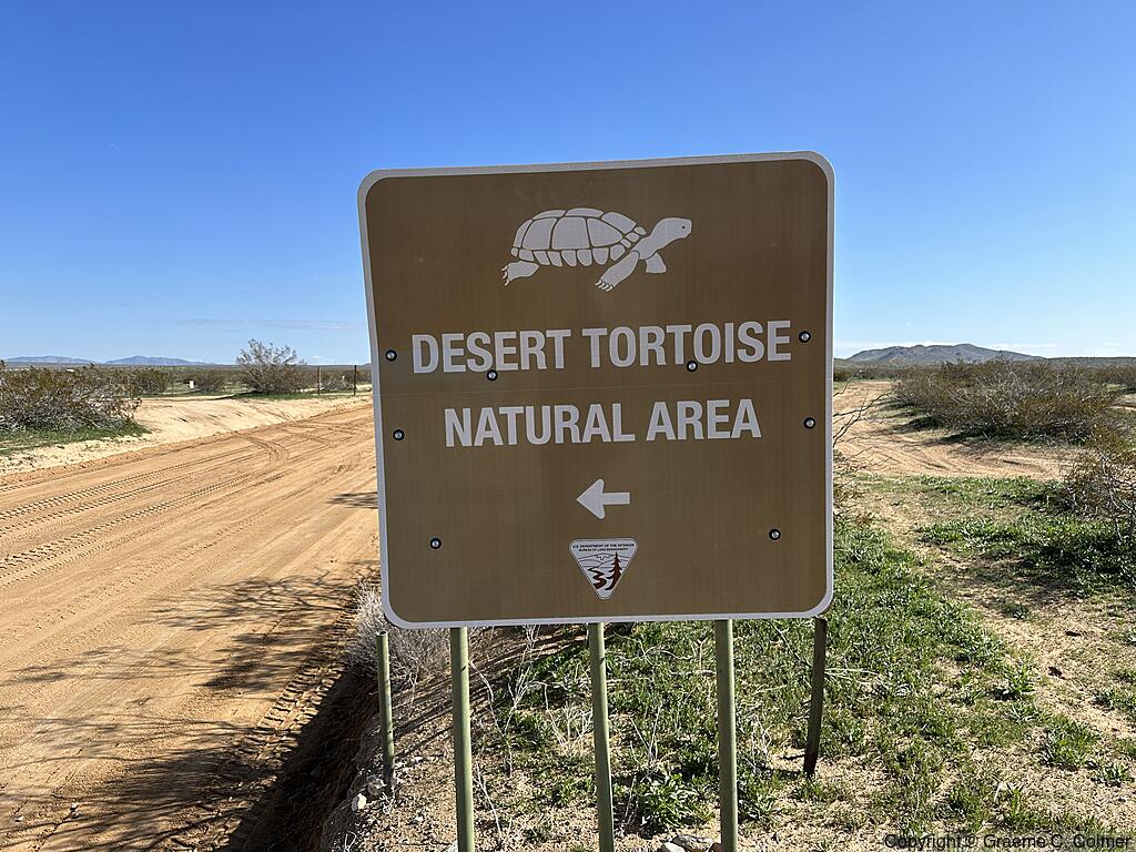 Desert Tortoise Research Natural Area - Entrance