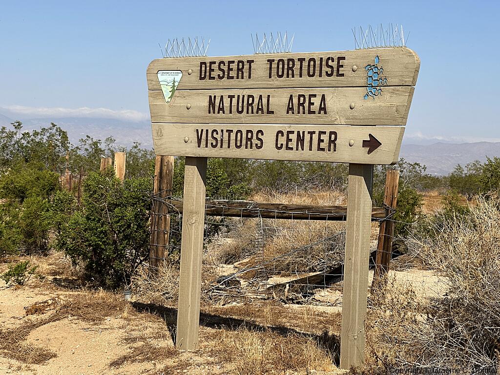 Desert Tortoise Research Natural Area - Entrance