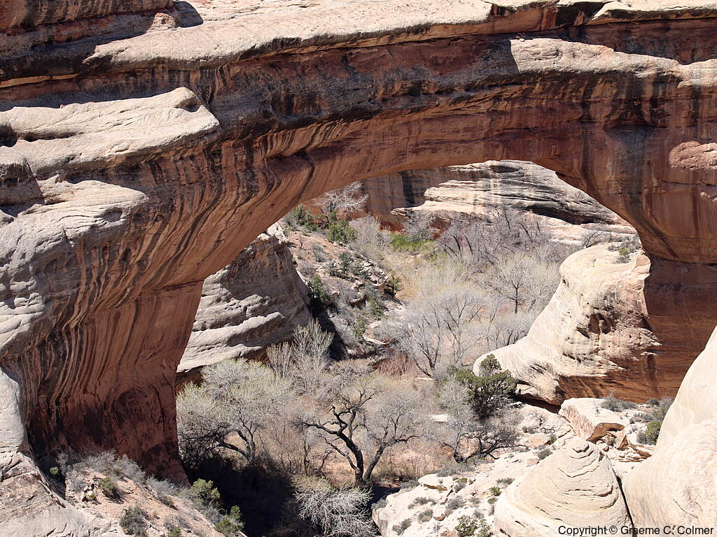 Natural Bridges National Monument - Sipapu Bridge