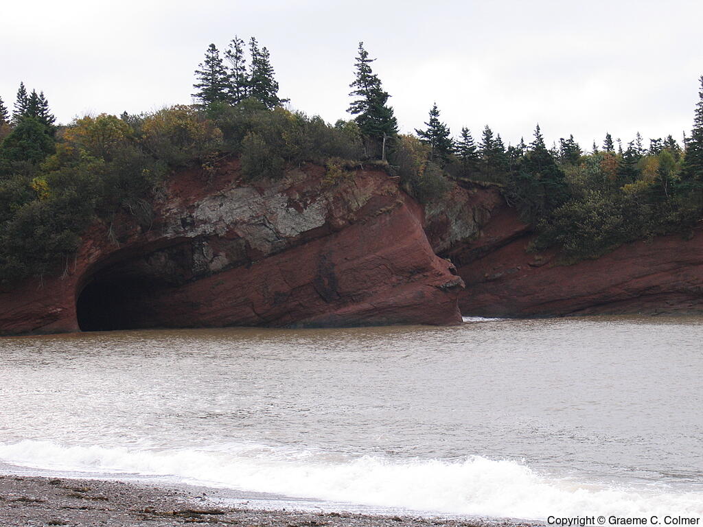 Fundy National Park - Landscape
