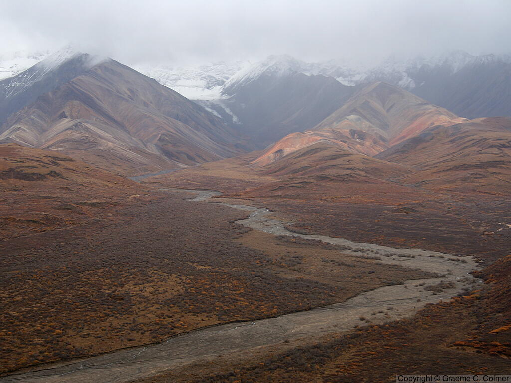 Denali National Park and Preserve - Landscape