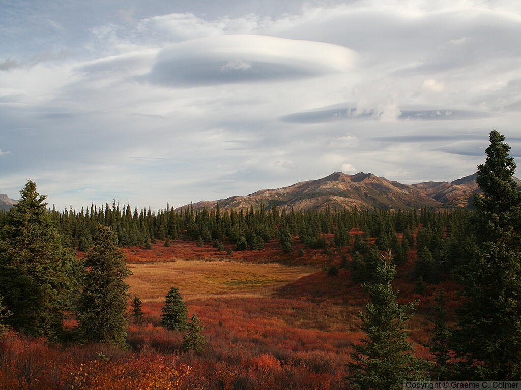 Denali National Park and Preserve - Landscape
