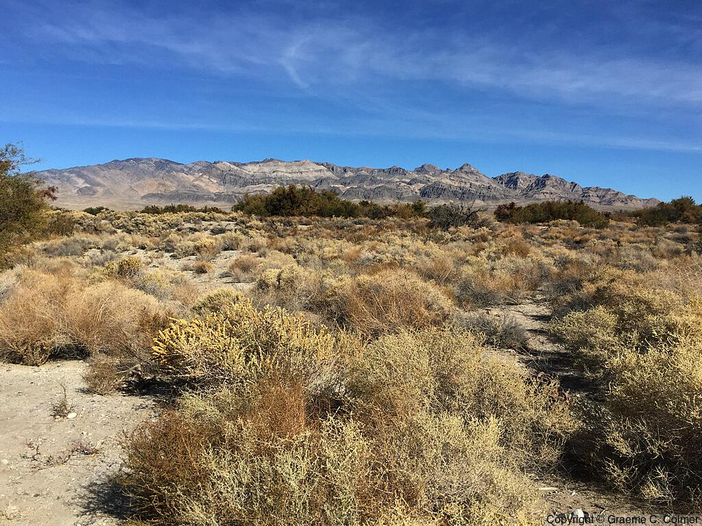 Desert National Wildlife Refuge - Landscape