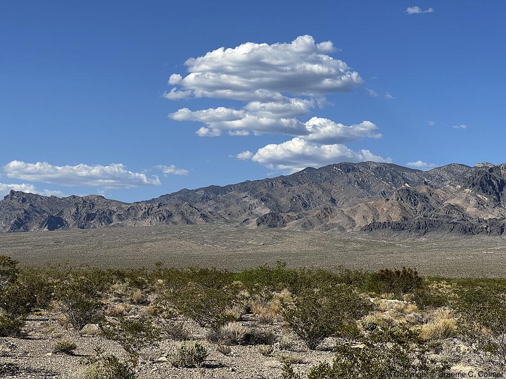 Desert National Wildlife Refuge - Landscape