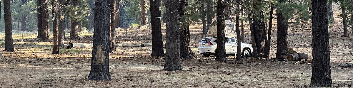 Wolf Creek Campground - Wolf Creek Campground