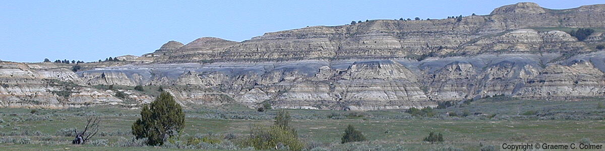Theodore Roosevelt National Park - Theodore Roosevelt National Park