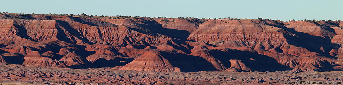 Petrified Forest National Park - Petrified Forest National Park