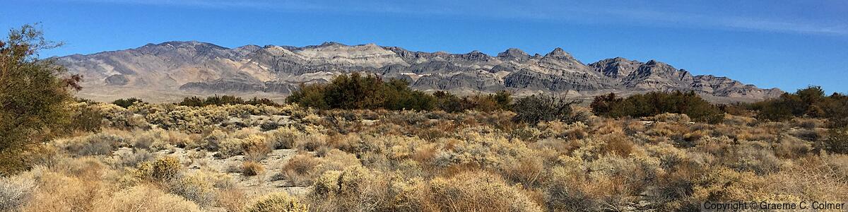 Desert National Wildlife Refuge - Desert National Wildlife Refuge