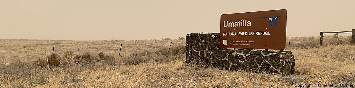 Umatilla National Wildlife Refuge - Umatilla National Wildlife Refuge