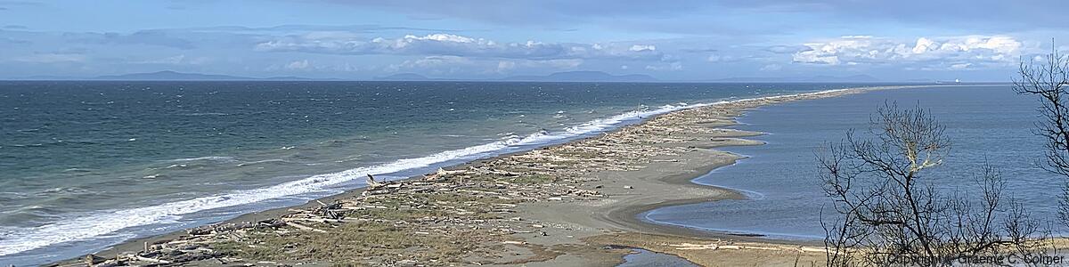 Dungeness National Wildlife Refuge - Dungeness National Wildlife Refuge