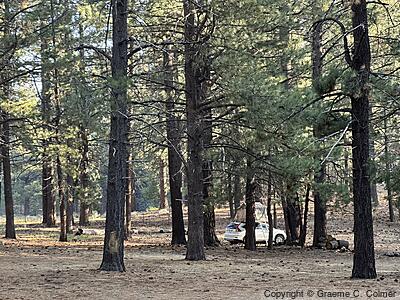 Wolf Creek Campground - Campground