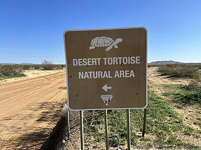 Desert Tortoise Research Natural Area - Entrance