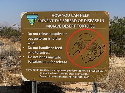 Desert Tortoise Research Natural Area - Information