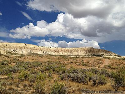 Fossil Butte National Monument - Landscape