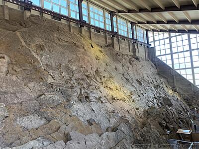 Dinosaur National Monument - Fossil Bone Quarry
