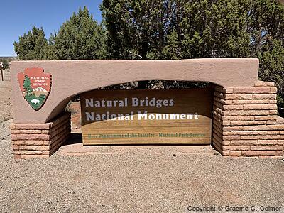 Natural Bridges National Monument - Entrance