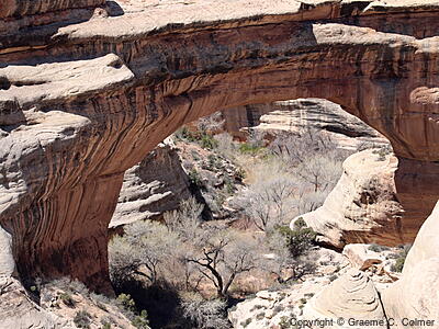 Natural Bridges National Monument - Sipapu Bridge