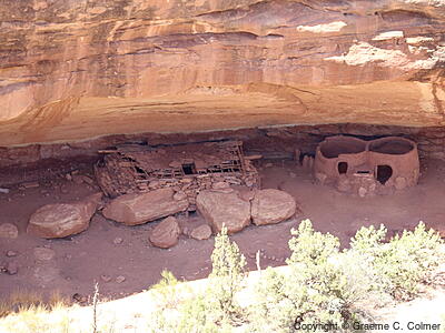 Natural Bridges National Monument - Horsecollar Ruin