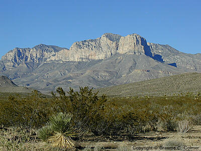 Guadalupe Mountains National Park - Landscape