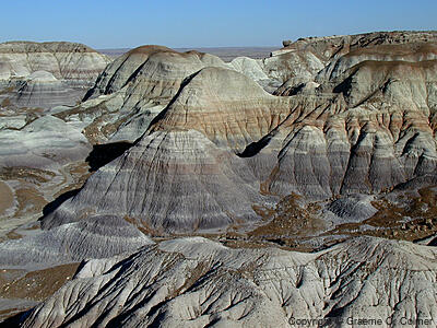 Petrified Forest National Park