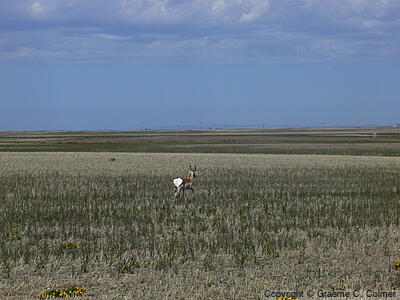 Grasslands National Park