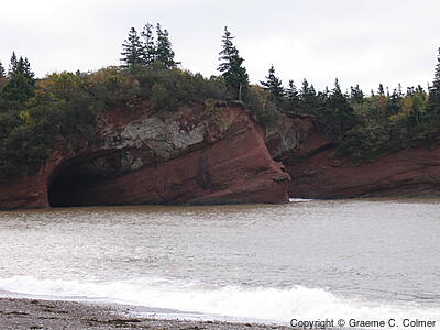 Fundy National Park - Landscape