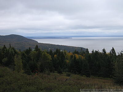 Fundy National Park - Landscape