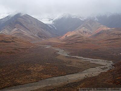 Denali National Park and Preserve - Landscape