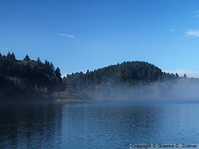 Redwood National and State Parks - Landscape