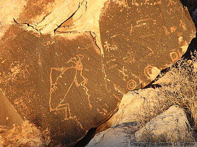Petrified Forest National Park - Petroglyphs
