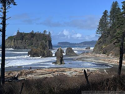 Olympic National Park