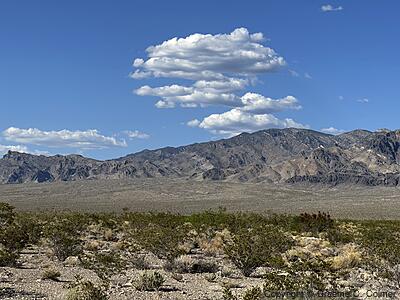 Desert National Wildlife Refuge - Landscape